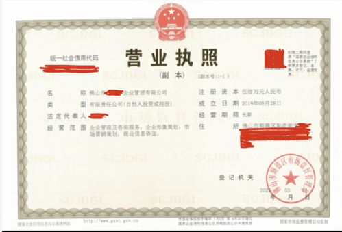 順德區(qū)企業(yè)管理公司不懂填寫經(jīng)營范圍,靠代理3天完成公司注冊